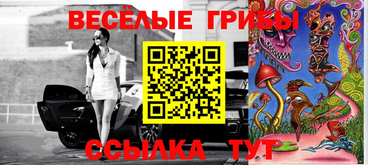 Галлюциногенные грибы Psilocybe Урай